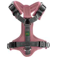Harness Maldon Up