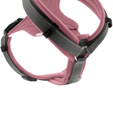 Harness Maldon Up