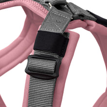 Harness Maldon Up