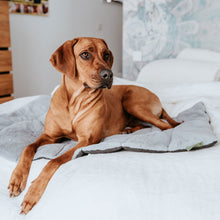 Travel Blanket For Dogs Rockford