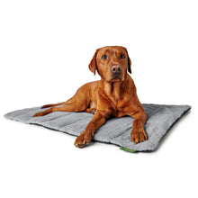 Travel Blanket For Dogs Rockford