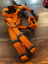 Harness Tripoli