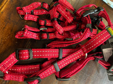 Harness Tripoli