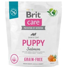 Brit Care Dog Grain-free Salmon Puppy Száraztáp