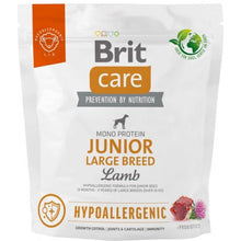 Brit Care Dog Hypoallergenic Lamb Junior Large Breed Száraztáp