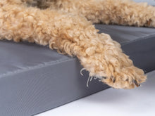 Trendpet VitaMedog Wet Kutyafekhely