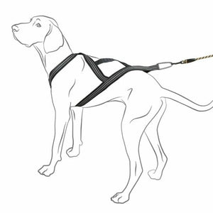 Hurtta X-Sport Harness