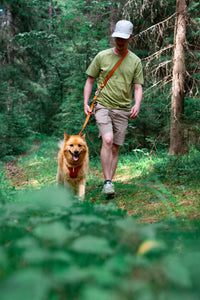 Woolly Wolf Roam Póráz