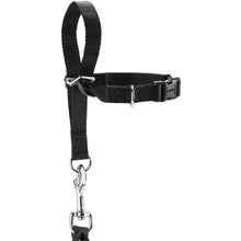 Education harness Follow Me