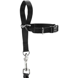 Education harness Follow Me