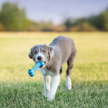 Dog toy KONG® Puppy Goodie Bone™