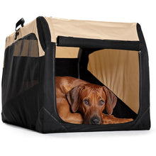 Foldable dog box
