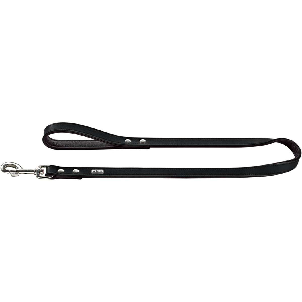 Leash Basic