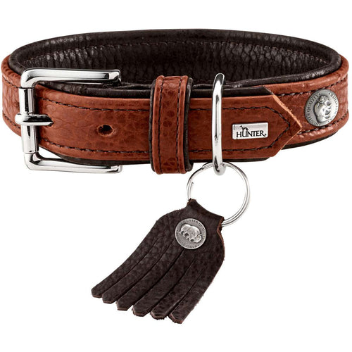 Collar Cody