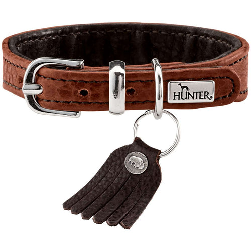 Collar Cody Petit