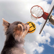 Dog toy KONG® Sport Balls
