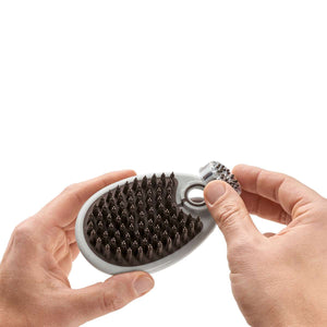 Curry comb/shampooing function Spa