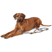 Training leash Sansibar Rantum