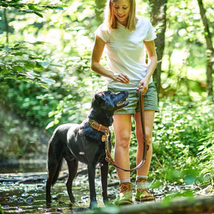 Training leash Tara