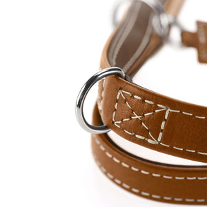 Training leash Tara