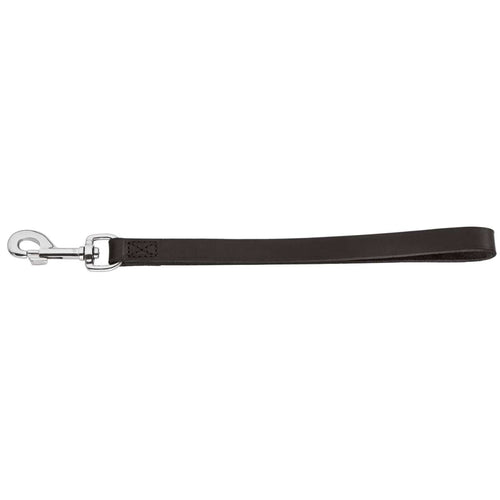 Traffic leash