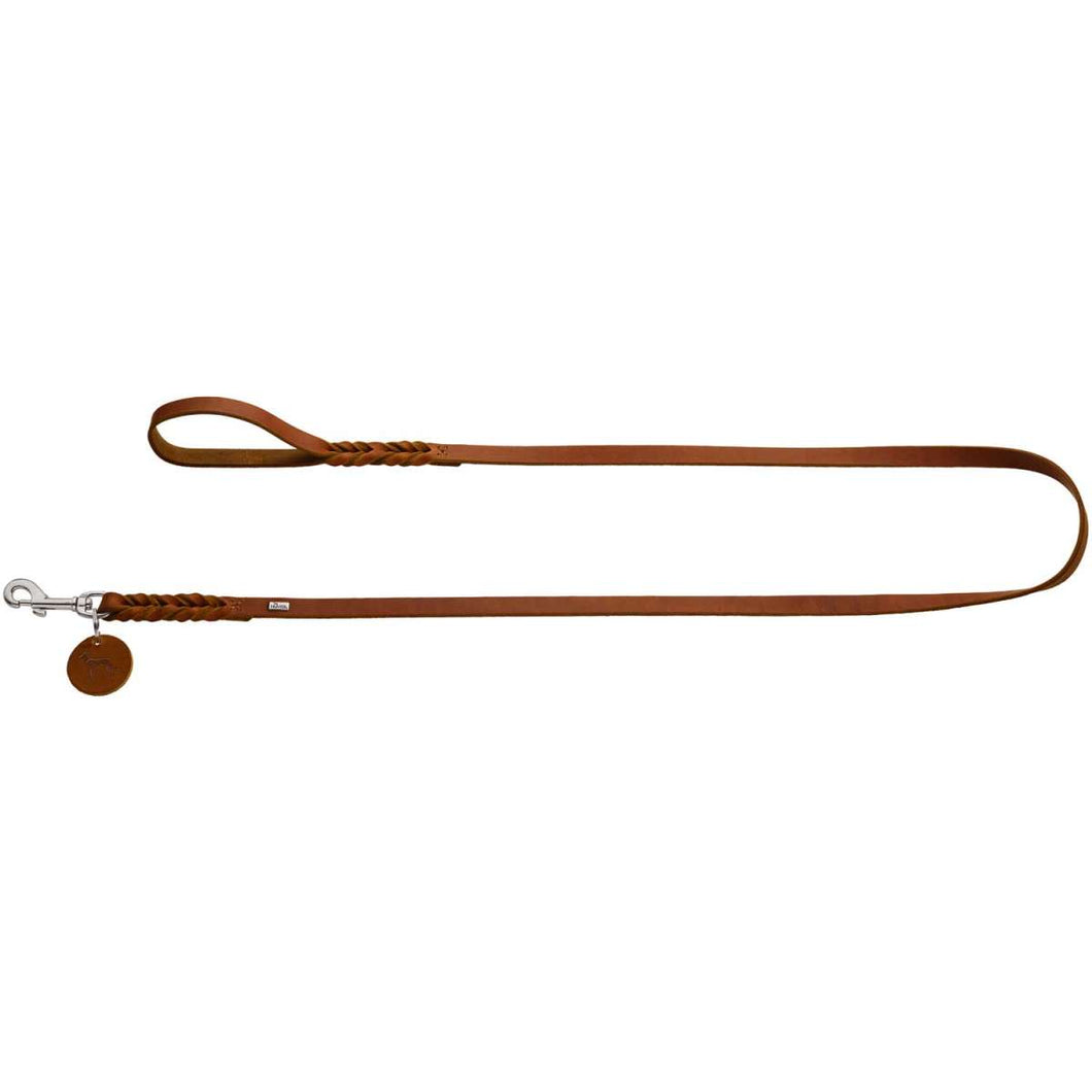 Leash Solid Education