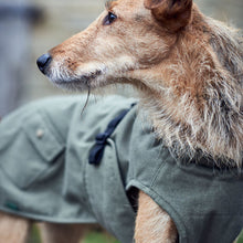 Dog coat Uppsala Trend
