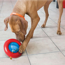 Dog toy KONG® Gyro
