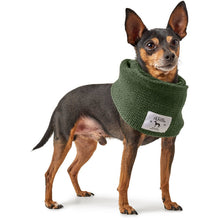 Dog scarf Nancy