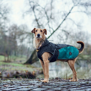 Dog coat Uppsala Allrounder