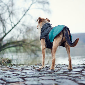 Dog coat Uppsala Allrounder