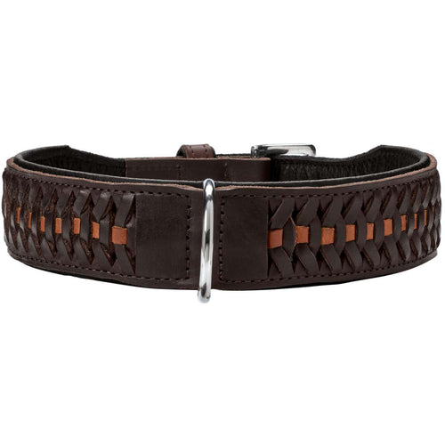 Collar Solid Education Exclusive