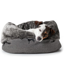 Cat and dog bed Livingston