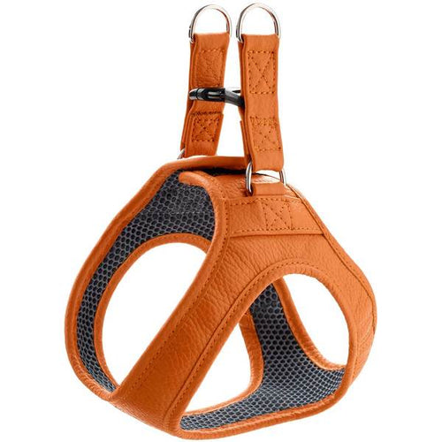 Harness Hilo