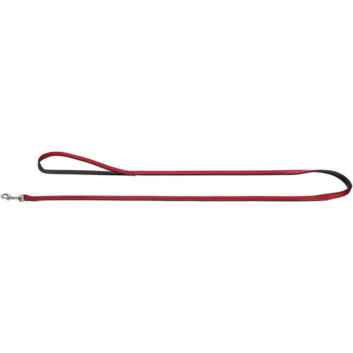 Leash Modern Art