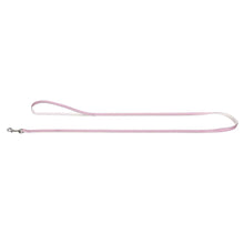 Leash Modern Art