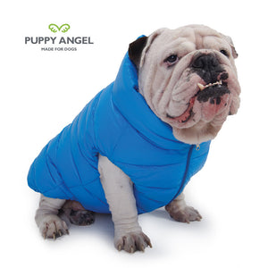 Puppy Angel Love Down Vest For Bulldog (Big Chest, Zipper) ( PA-OW229 )