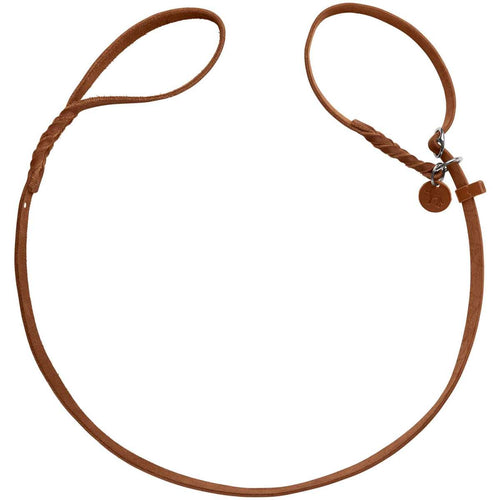 Retriever leash Solid Education