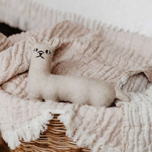 Dog toy Tirana
