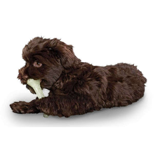 Dog toy Kisa