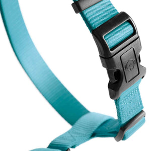 Harness Ecco Sport Vario Rapid