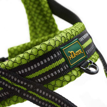 Norwegian harness Hilo