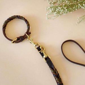 Trainning leash Solid Education Duo