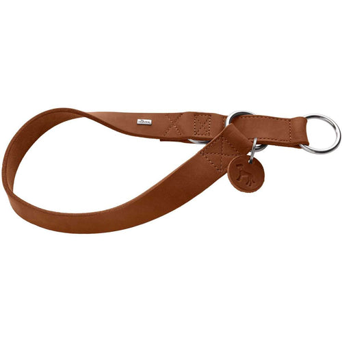 Training collar Aalborg