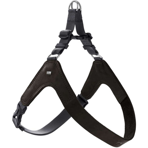Harness Dimaro